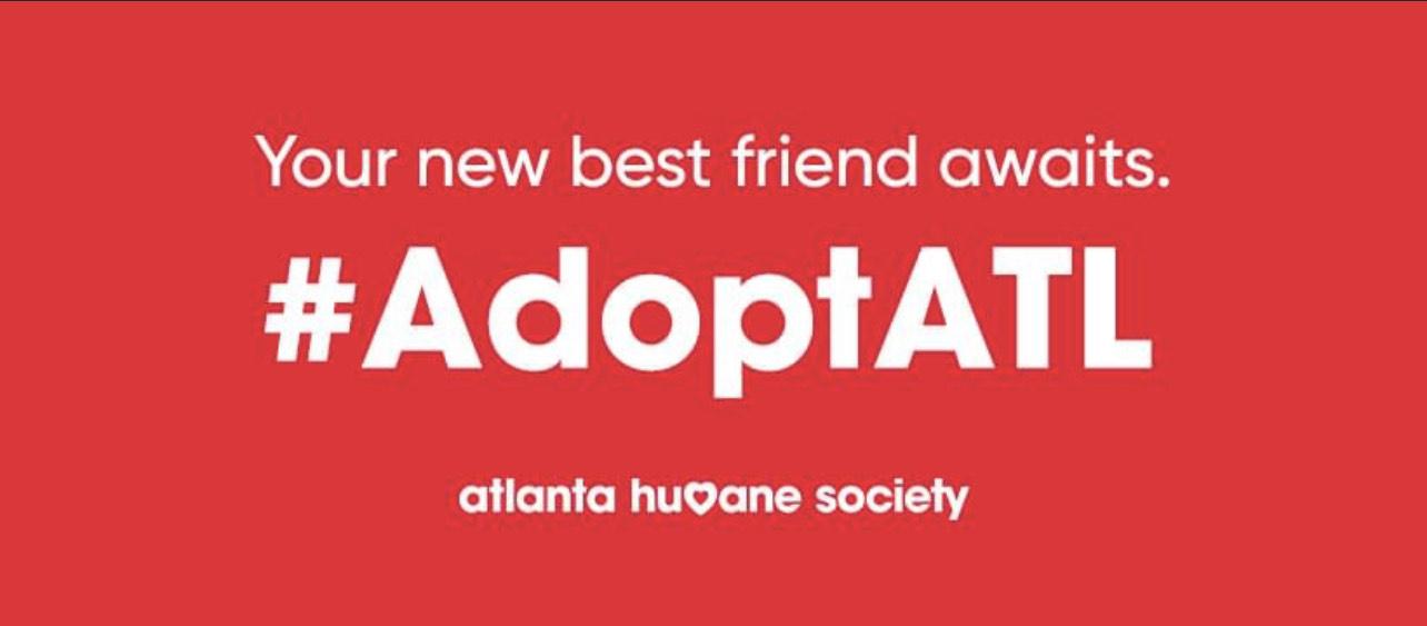 atlanta humane society
