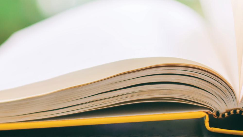 book pic