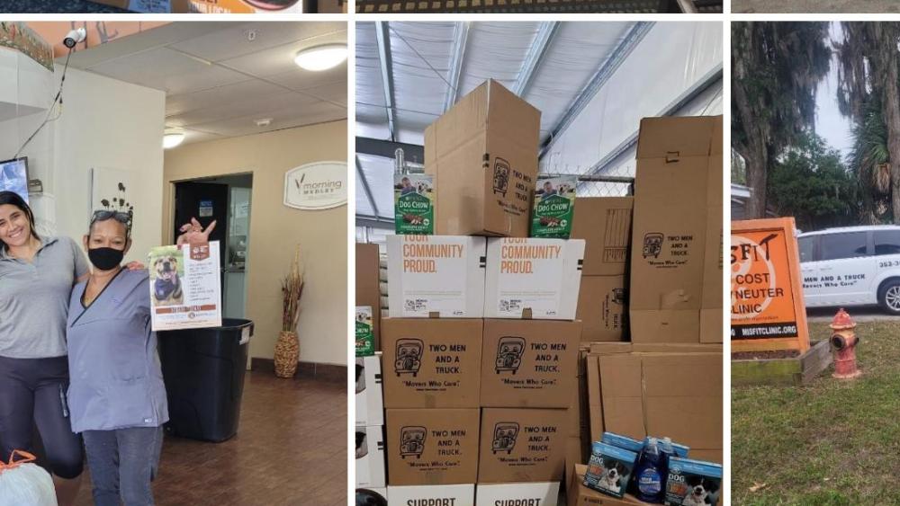 photo collage with the highlights of the movers for mutts campaign