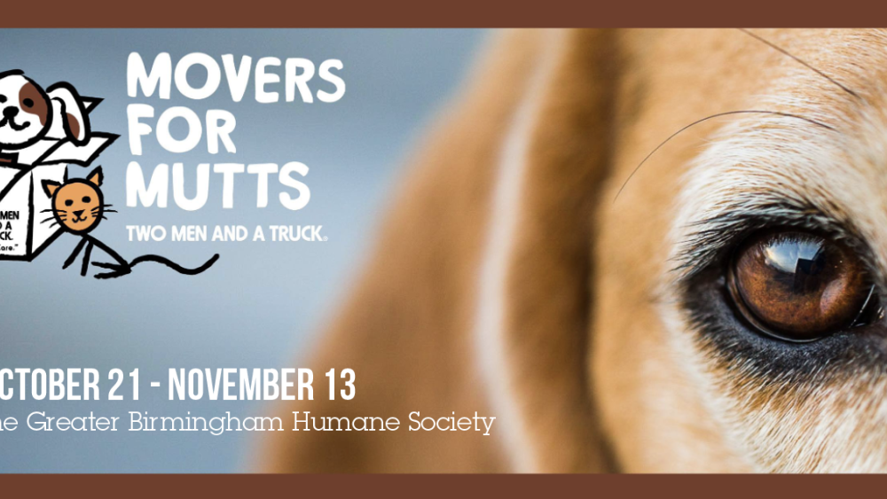 Movers for Mutts in Birmingham Alabama benefitting the Greater Birmingham Humane Society