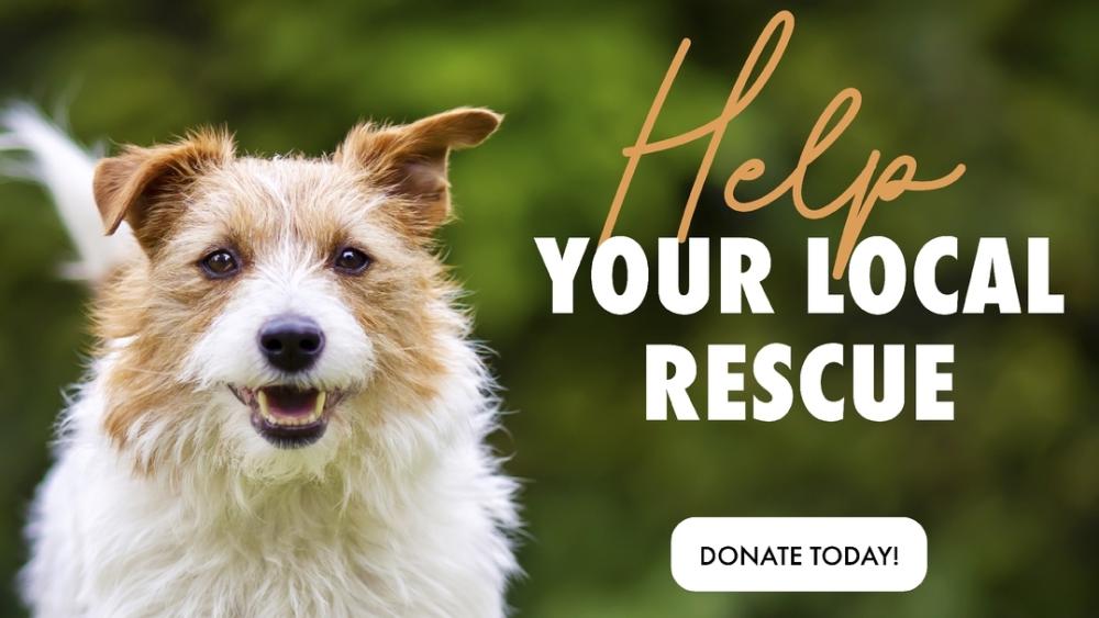 Movers For Mutts | Help Your Local Rescue