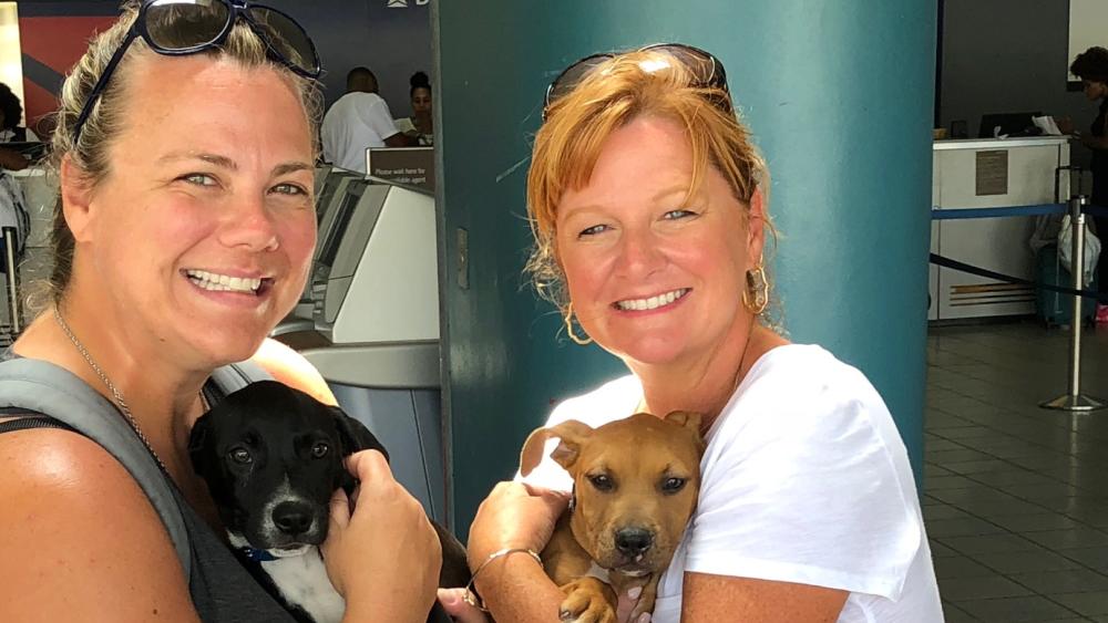 Local Franchisee, Brooke, and Jennifer from the TWO MEN AND A TRUCK franchise in Chattanooga are super excited to bring Fabion and Nuguet home to NC to find a new home!