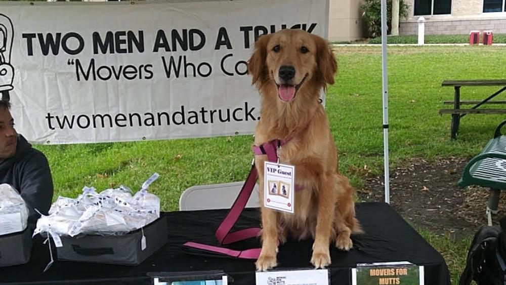 Dogtoberfest - Dogs - Movers for Mutts table