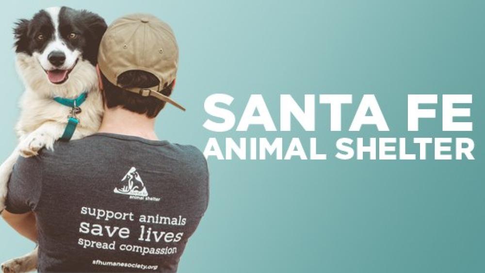 santa fe animal shelter