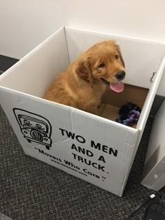 WHAT'S IN THE BOX?