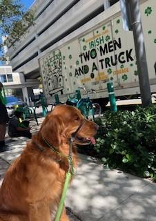 Sterling at Fort Lauderdale St. Patrick's Day Parade