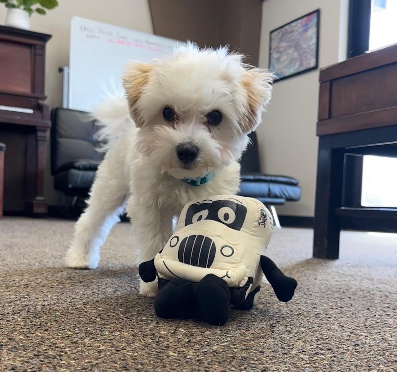 Oakley with Truckie
