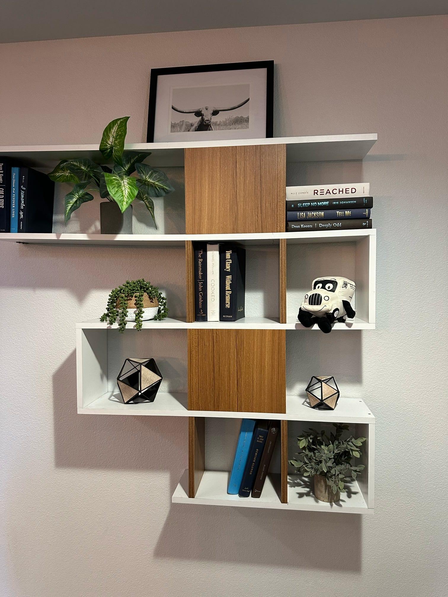 photo of shelves holding various items