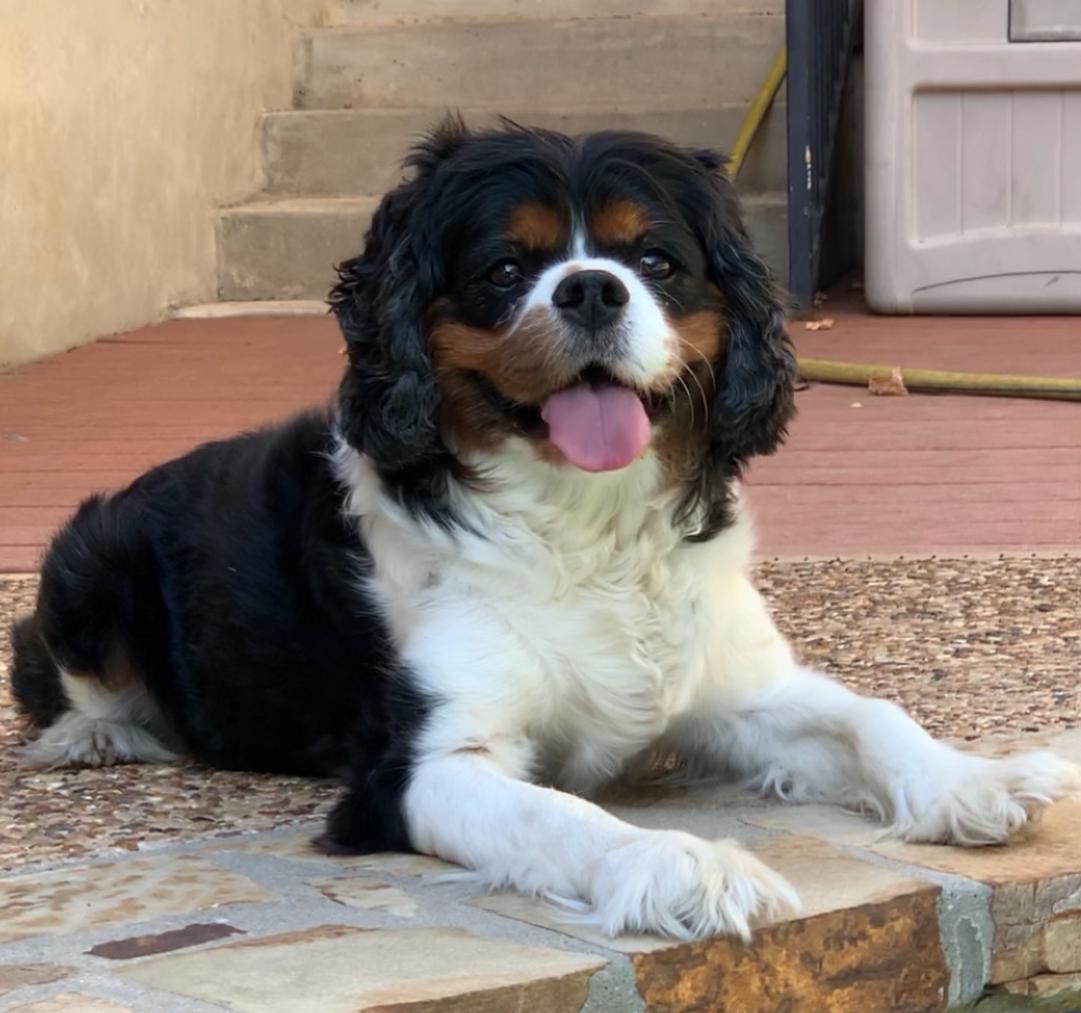 Tucker South