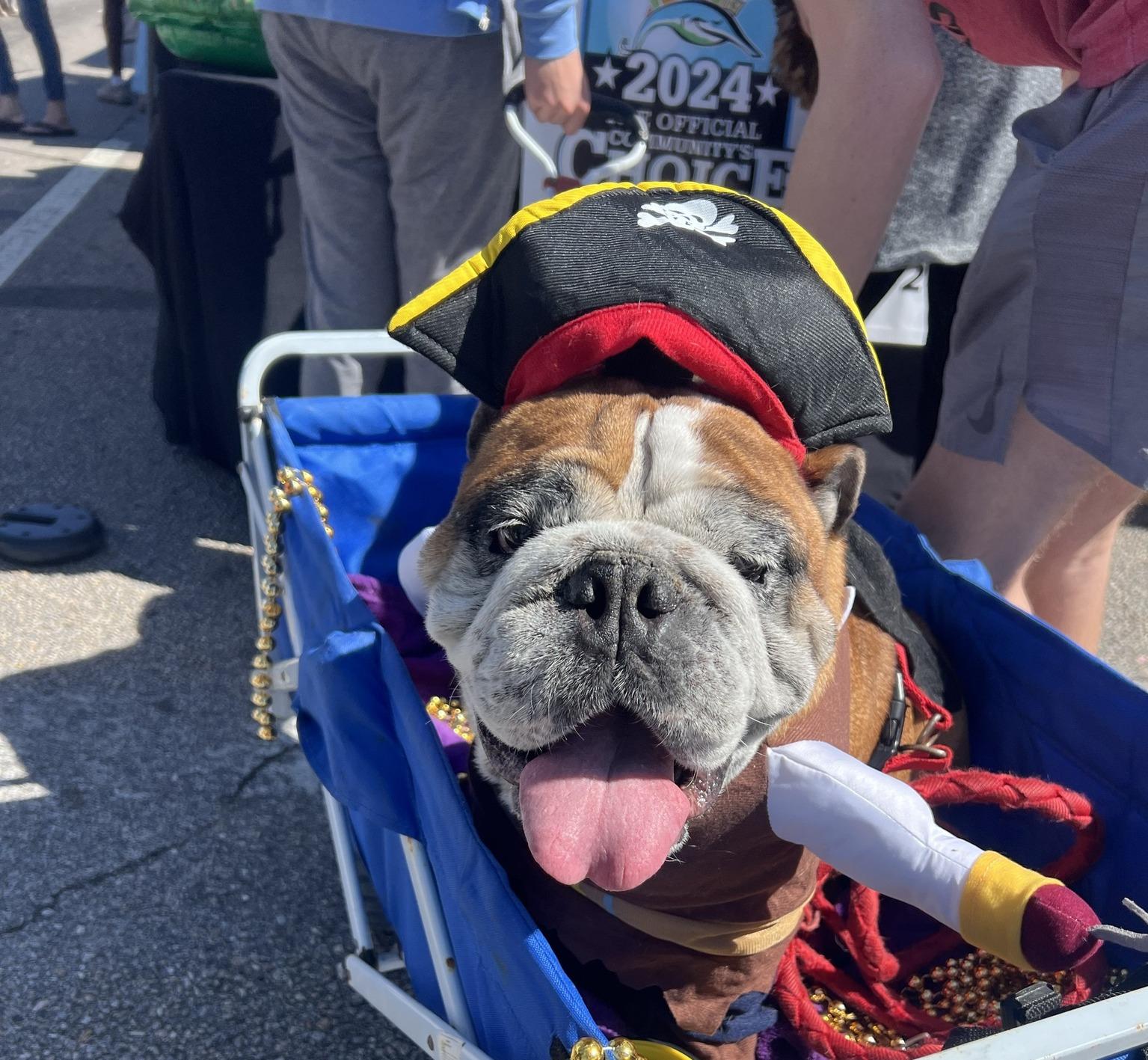 Pawdi Gras