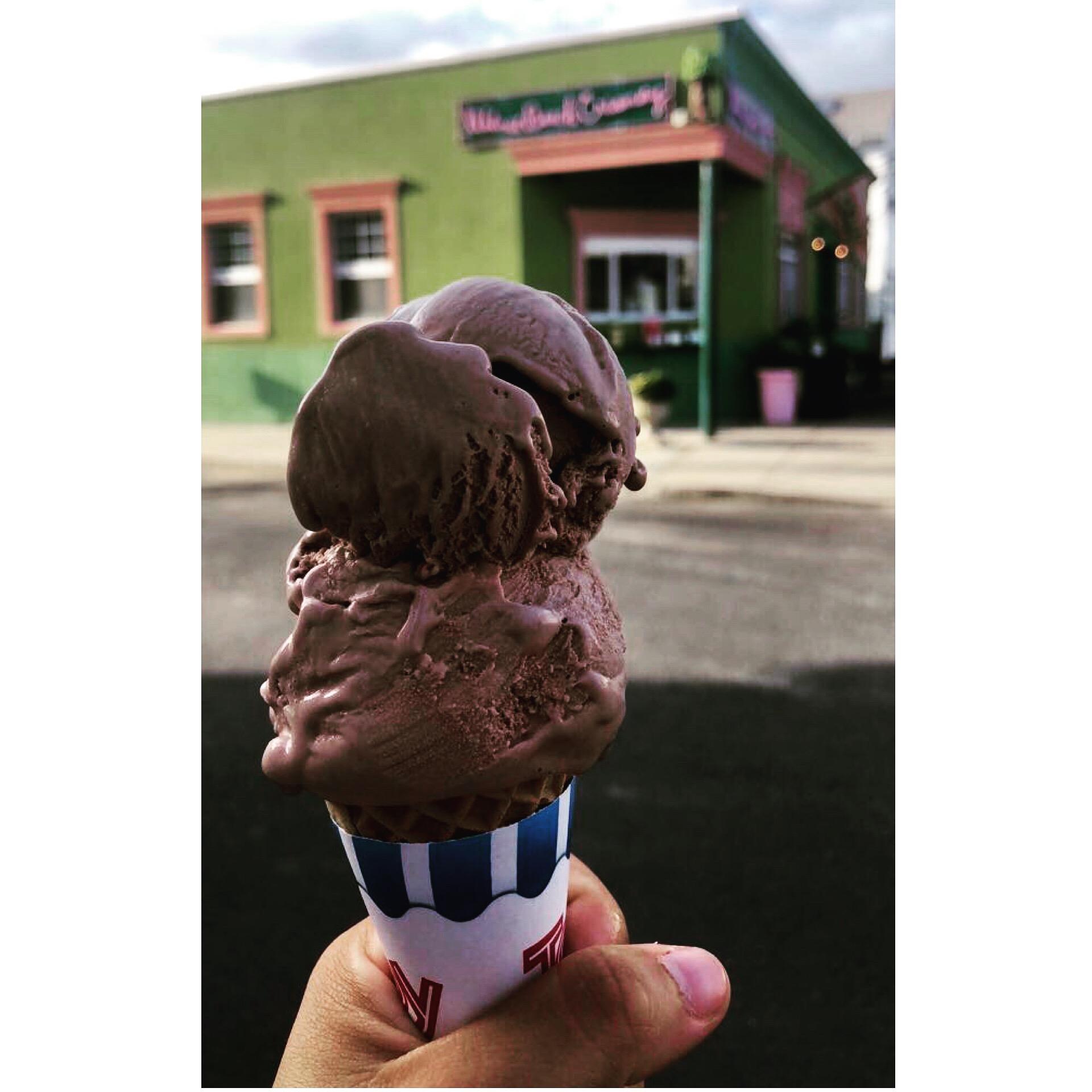 Chocolate Ice Cream in a Cone