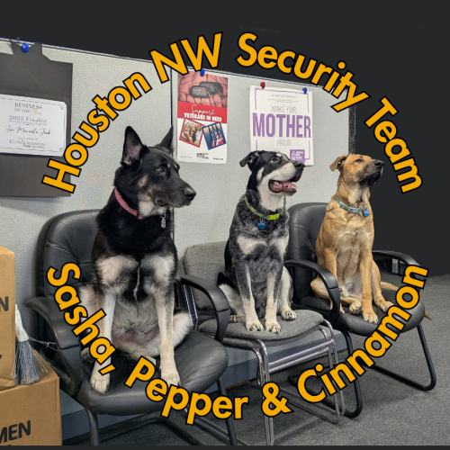 Houston NW Security