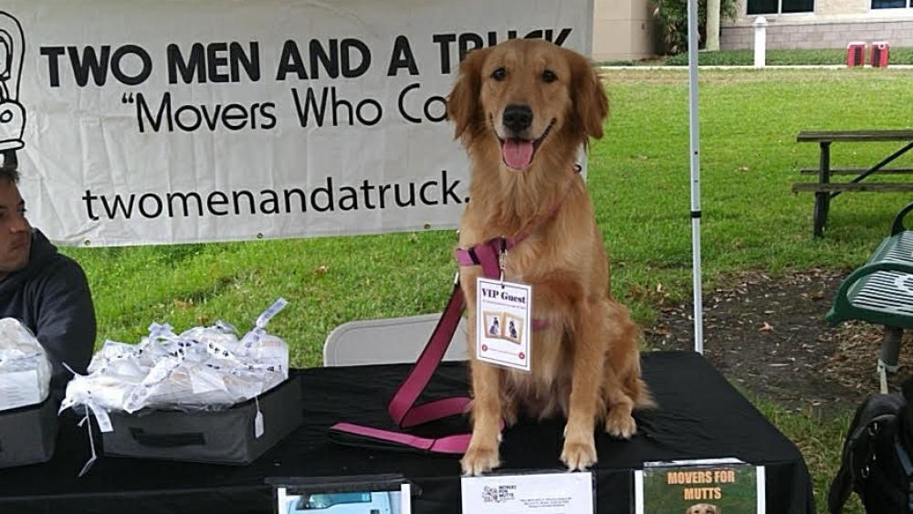 Dogtoberfest - Dogs - Movers for Mutts table